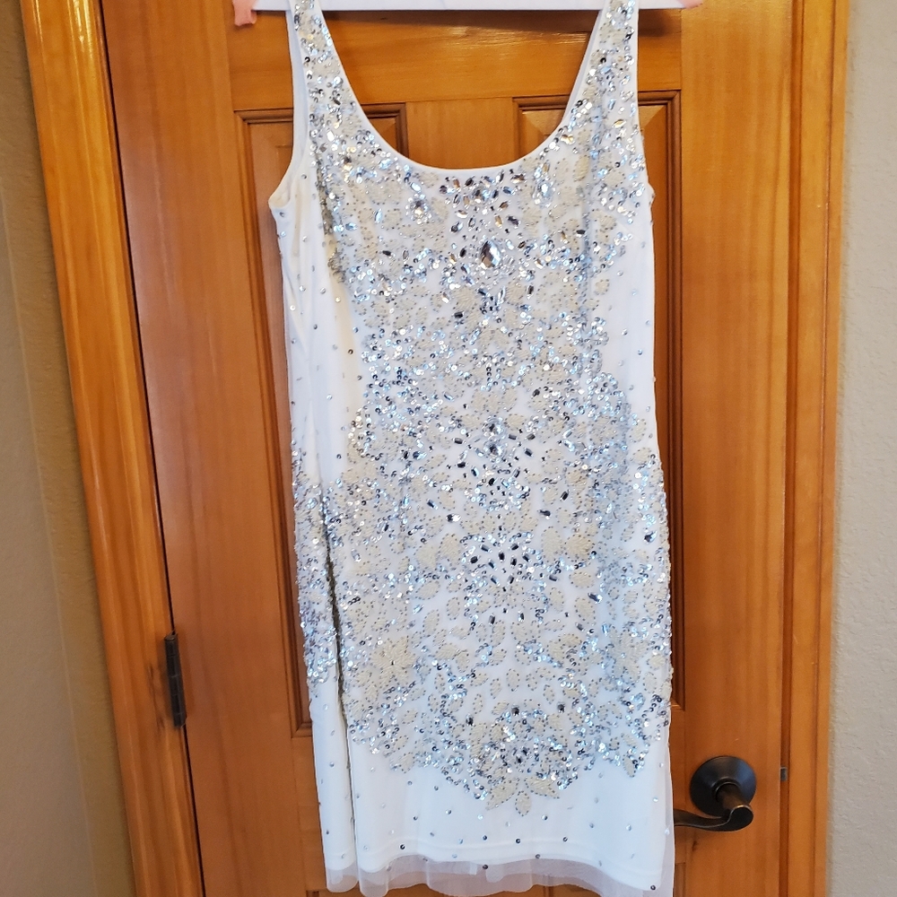 Adrianna Papell dress